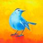 Catbird