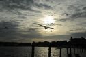 Oak Bluffs Harbor, Martha's Vineyard, MA 10/10/13 7:03 a.m.